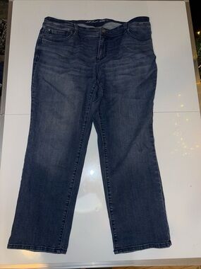 Inc Jeans Womens Size 18WP Skinny Leg Tummy Control Denim